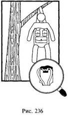 Иллюстрация к книге — Школа выживания в природных условиях [pic_230.jpg]