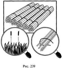 Иллюстрация к книге — Школа выживания в природных условиях [pic_233.jpg]