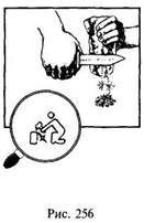 Иллюстрация к книге — Школа выживания в природных условиях [pic_257.jpg]