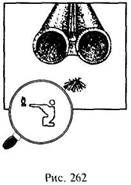 Иллюстрация к книге — Школа выживания в природных условиях [pic_262.jpg]