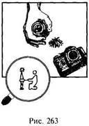 Иллюстрация к книге — Школа выживания в природных условиях [pic_263.jpg]