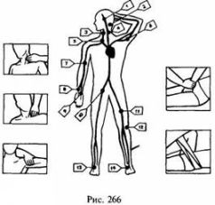 Иллюстрация к книге — Школа выживания в природных условиях [pic_265.jpg]