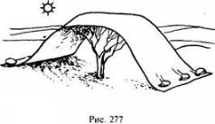 Иллюстрация к книге — Школа выживания в природных условиях [pic_276.jpg]