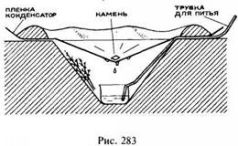 Иллюстрация к книге — Школа выживания в природных условиях [pic_283.jpg]
