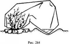 Иллюстрация к книге — Школа выживания в природных условиях [pic_285.jpg]