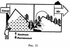 Иллюстрация к книге — Школа выживания в природных условиях [pic_40.jpg]