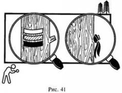 Иллюстрация к книге — Школа выживания в природных условиях [pic_50.jpg]