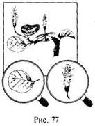 Иллюстрация к книге — Школа выживания в природных условиях [pic_88.jpg]