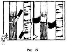 Иллюстрация к книге — Школа выживания в природных условиях [pic_90.jpg]