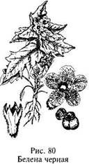 Иллюстрация к книге — Школа выживания в природных условиях [pic_91.jpg]