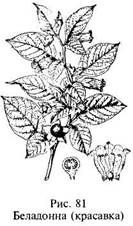 Иллюстрация к книге — Школа выживания в природных условиях [pic_92.jpg]