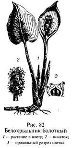 Иллюстрация к книге — Школа выживания в природных условиях [pic_93.jpg]