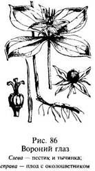 Иллюстрация к книге — Школа выживания в природных условиях [pic_97.jpg]