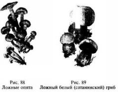 Иллюстрация к книге — Школа выживания в природных условиях [pic_99.jpg]