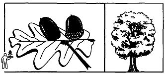 Иллюстрация к книге — Школа выживания. Как избежать голодной смерти [_02.jpg]