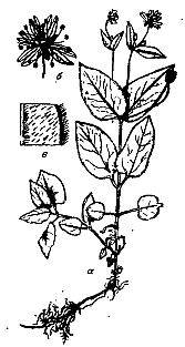 Иллюстрация к книге — Школа выживания. Как избежать голодной смерти [_08.jpg]