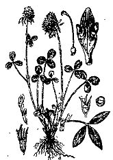 Иллюстрация к книге — Школа выживания. Как избежать голодной смерти [_10.jpg]