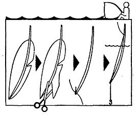 Иллюстрация к книге — Школа выживания. Как избежать голодной смерти [_110.jpg]