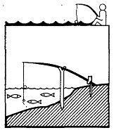 Иллюстрация к книге — Школа выживания. Как избежать голодной смерти [_127.jpg]