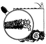 Иллюстрация к книге — Школа выживания. Как избежать голодной смерти [_130.jpg]