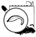 Иллюстрация к книге — Школа выживания. Как избежать голодной смерти [_134.jpg]