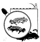 Иллюстрация к книге — Школа выживания. Как избежать голодной смерти [_135.jpg]