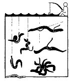 Иллюстрация к книге — Школа выживания. Как избежать голодной смерти [_137.jpg]