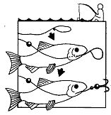 Иллюстрация к книге — Школа выживания. Как избежать голодной смерти [_141.jpg]