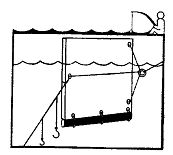 Иллюстрация к книге — Школа выживания. Как избежать голодной смерти [_156.jpg]