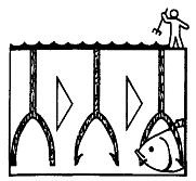 Иллюстрация к книге — Школа выживания. Как избежать голодной смерти [_168.jpg]