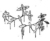 Иллюстрация к книге — Школа выживания. Как избежать голодной смерти [_17.jpg]