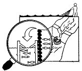 Иллюстрация к книге — Школа выживания. Как избежать голодной смерти [_189.jpg]