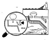 Иллюстрация к книге — Школа выживания. Как избежать голодной смерти [_192.jpg]