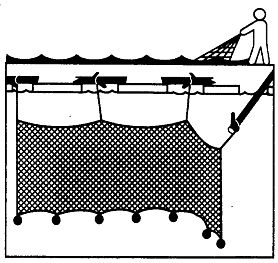 Иллюстрация к книге — Школа выживания. Как избежать голодной смерти [_194.jpg]