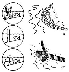 Иллюстрация к книге — Школа выживания. Как избежать голодной смерти [_197.jpg]