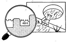 Иллюстрация к книге — Школа выживания. Как избежать голодной смерти [_200.jpg]