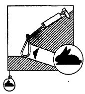 Иллюстрация к книге — Школа выживания. Как избежать голодной смерти [_201.jpg]