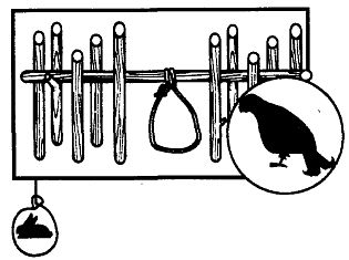 Иллюстрация к книге — Школа выживания. Как избежать голодной смерти [_203.jpg]