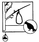 Иллюстрация к книге — Школа выживания. Как избежать голодной смерти [_205.jpg]