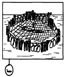 Иллюстрация к книге — Школа выживания. Как избежать голодной смерти [_206.jpg]