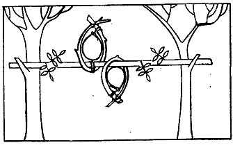 Иллюстрация к книге — Школа выживания. Как избежать голодной смерти [_207.jpg]