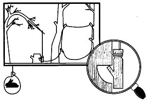 Иллюстрация к книге — Школа выживания. Как избежать голодной смерти [_211.jpg]