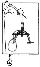 Иллюстрация к книге — Школа выживания. Как избежать голодной смерти [_217.jpg]