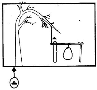 Иллюстрация к книге — Школа выживания. Как избежать голодной смерти [_218.jpg]
