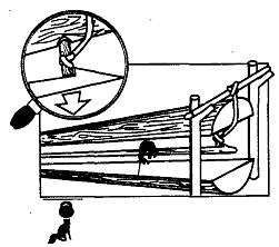 Иллюстрация к книге — Школа выживания. Как избежать голодной смерти [_228.jpg]
