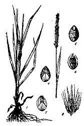 Иллюстрация к книге — Школа выживания. Как избежать голодной смерти [_23.jpg]