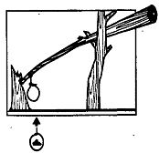 Иллюстрация к книге — Школа выживания. Как избежать голодной смерти [_233.jpg]