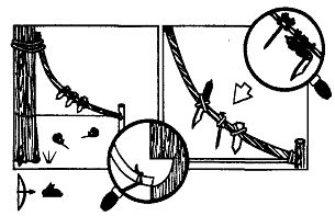 Иллюстрация к книге — Школа выживания. Как избежать голодной смерти [_237.jpg]