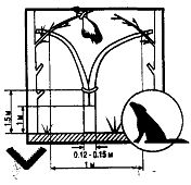 Иллюстрация к книге — Школа выживания. Как избежать голодной смерти [_240.jpg]