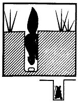 Иллюстрация к книге — Школа выживания. Как избежать голодной смерти [_245.jpg]